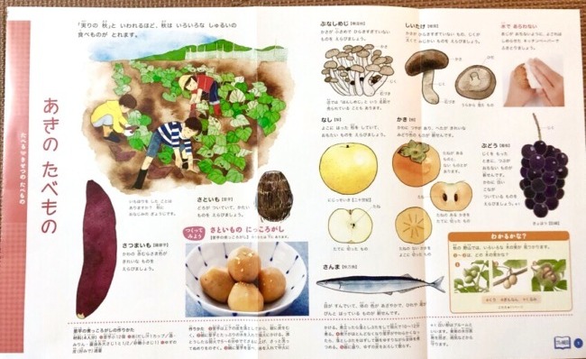 幼児通信教育比較まなびwith図鑑