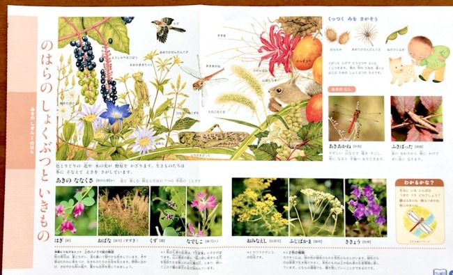 まなびwith幼児の調べ学習